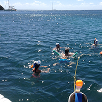 Snorkeling on a day sail in Antigua